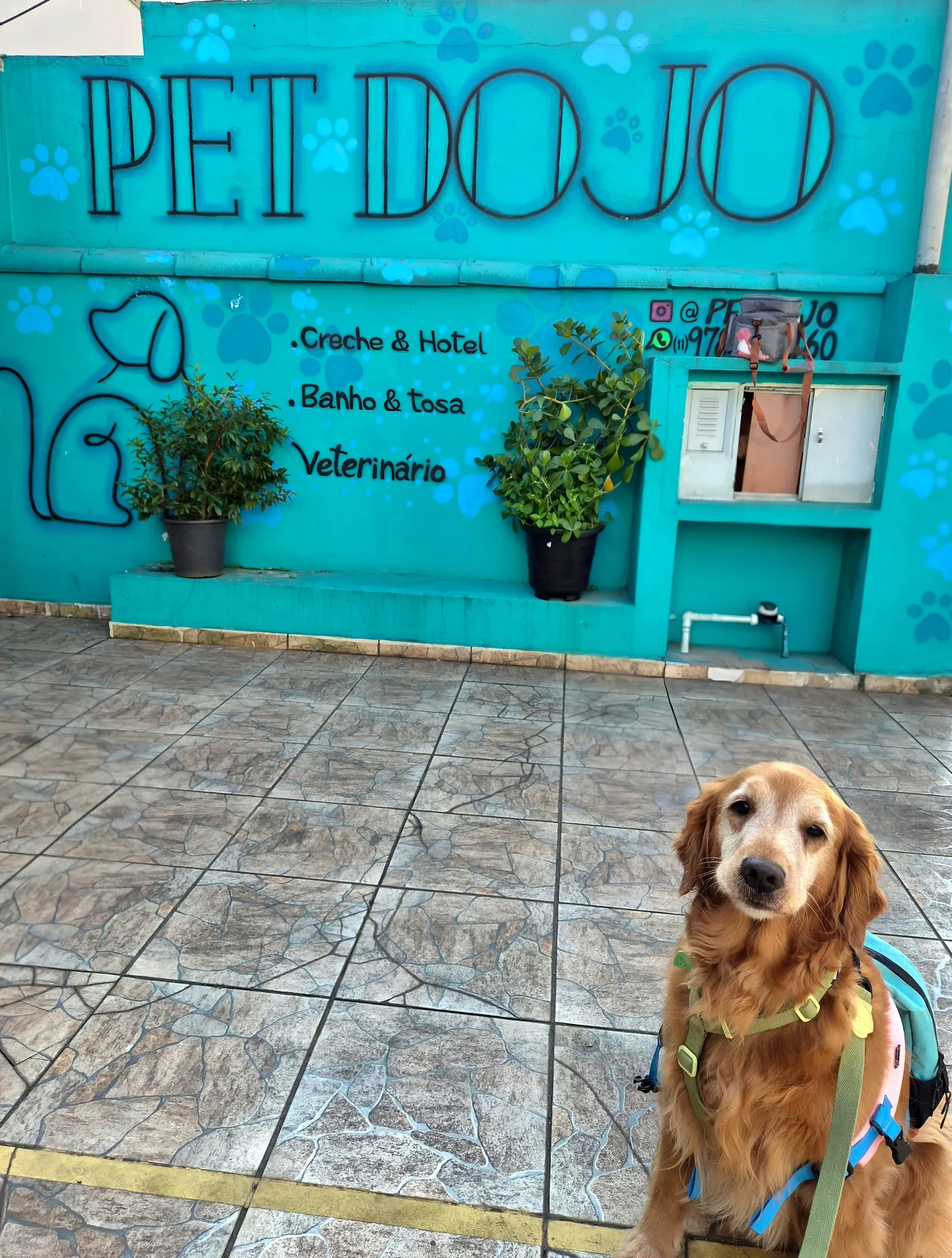 Fachada do Pet Dojo em Taboão da Serra